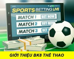 Giới thiệu BK8 Thể Thao | Sảnh cá cược tuyệt vời cho bet thủ