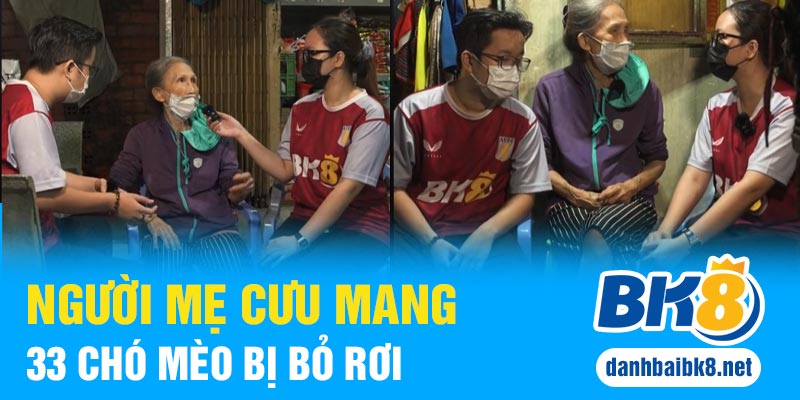 Người mẹ cưu mang 33 chó mèo bị bỏ rơi